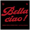 About Bella ciao reggae Song