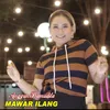 Mawar Ilang-DJ Remix