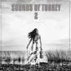 Sounds Of Turkey, Vol. 2