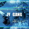 Jy Gang