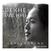 About Dekhe Pachhi Song