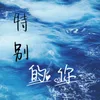 About 特别的你 Song