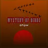 Mystery Of Birds