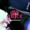 About My Voice Song