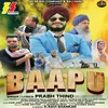 About Baapu Song