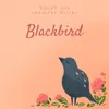 About Blackbird Song