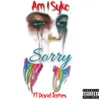 About Sorry Song