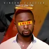 About Love U Like I Do-Lulid Song