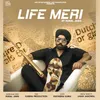 About Life Meri Song