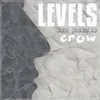 About Levels-For Avicii Song