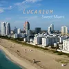 Sweet Miami-Scenic Groove Remix