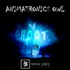 About Hoot Song