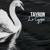 About Le cygne Song