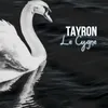 Le cygne