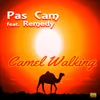 About Camel Walking Song