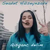 About Qısqanc Dəlim Song