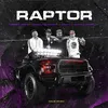 About Raptor Song