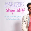 About Shayi Stiff Song