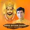 About Mere Shyam Dhani Song