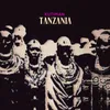 About Tanzania Song