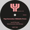 Law of the Land-Vinyl Convention Moog Reworked Remix