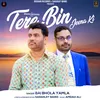 About Tere Bin Jeena Ki Song