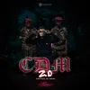 CDM 2.0-Capitaine du mapane