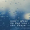 About Don't Want to See You Cry Again Song