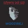 About Wodzirej Song