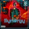 About Synergy Song
