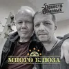 About Много блюза Song