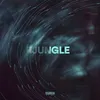 About Jungle Song