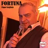 About FORTUNA Song