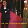 About NON ABBIAM BISOGNO DI PAROLE Song