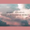 About What a Wonderful World Song