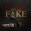 About It's All Fake Song