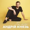 About Ти моя Song