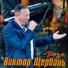 About Роза Song