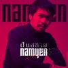About ฝันสลาย-Cover Song