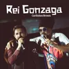 About Rei Gonzaga Song