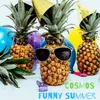 About Funny Summer Song