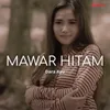 Mawar Hitam