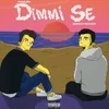 About Dimmi se Song