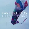 About Hard Sunshine Song