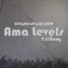 About Ama Levels Song