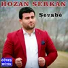 About Şevabe Song