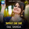 About Tappy Zar Zar Song