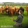 Morgunn-Acoustic Version