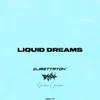 About LIQUID DREAMS Song