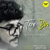 About Tere Bin Song